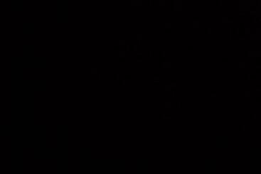 Pensão New Mount Villa