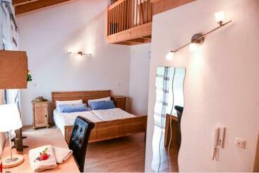 Bed and Breakfast Pension Froschkönig