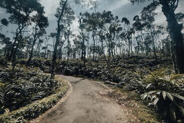 リゾートホテル Mystic Mayapott, Thekkady