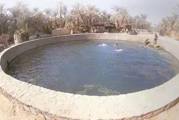Western Desert Hotel & Safari