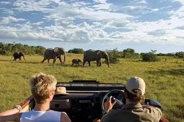 Hotel Kichaka Luxury Game Lodge