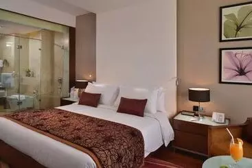 酒店 Holiday Inn Chandigarh Panchkula, An Ihg