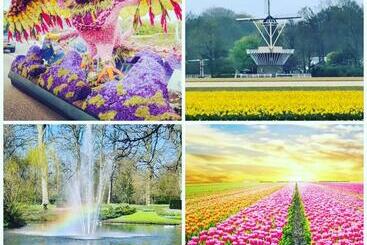 B&bslapenopeeneiland