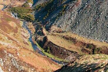 Pensão Yearle House