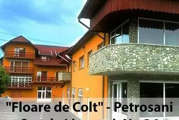 ペンション Floare De Colt Petrosani