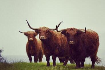 Bed and Breakfast Lochview Guesthouse