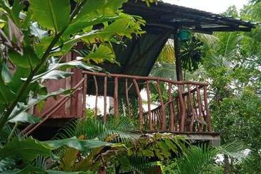 Hotel Sigiri Panaromic Tree House