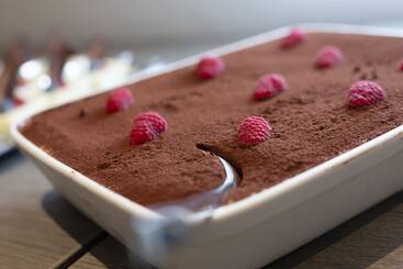 Dolphin Hotel Herning