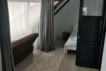 Pansiyon Casa Dorin