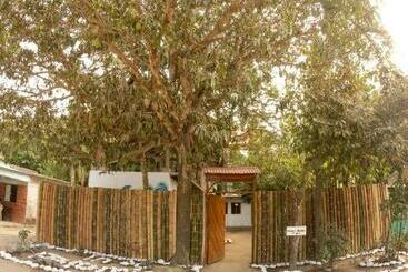 پانسیون Hostel In Palomino