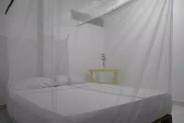 پانسیون Hostel In Palomino