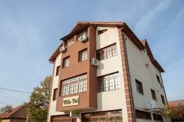 Pensionat Vila Tei Guesthouse