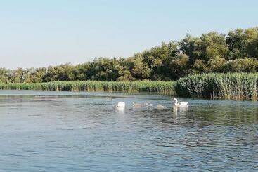 Pensão Casa Iris Murighiol