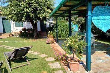 Bed and Breakfast Il Brecciaro