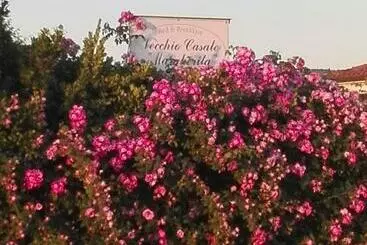 Bed and Breakfast Vecchio Casale Margherita