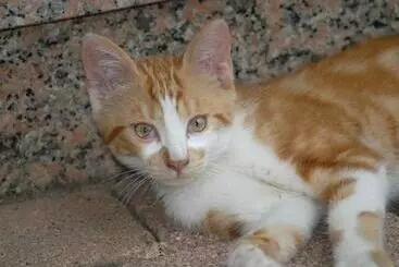 Bed and Breakfast La Cour Des Amis