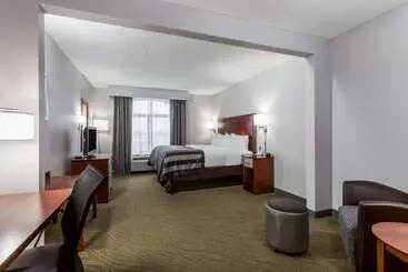 Hotel Wingate By Wyndham Chesapeake