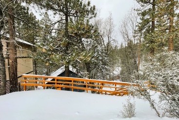 茅舍 Forest Escape