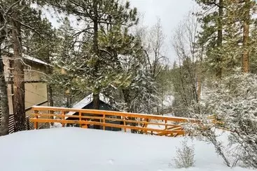 Mökkimajoitus Forest Escape