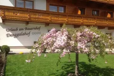 ホテル Denggalahof