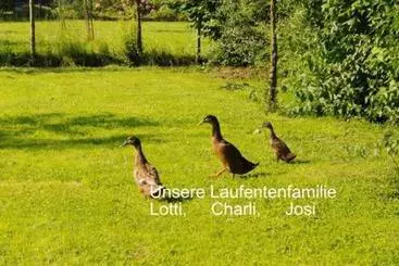 Hotelli Familie Regina & Josef Allerstorfer