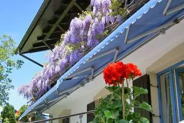 Отель Haus-georg