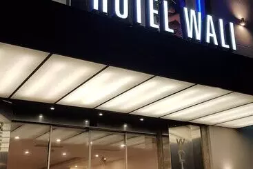 Отель Wali S