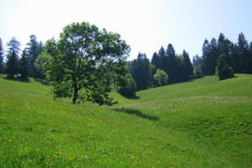 Biovital Hotel Sommerau