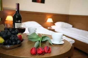 בית מלון כפרי Arkadia Walbrzych