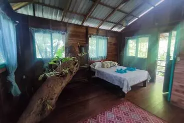 ホテル Playa Grande Lodge & Tree House