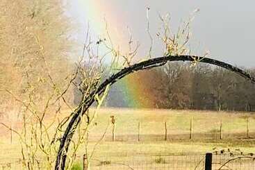 צימר Chambres D Hôtes Coeur Et Nature