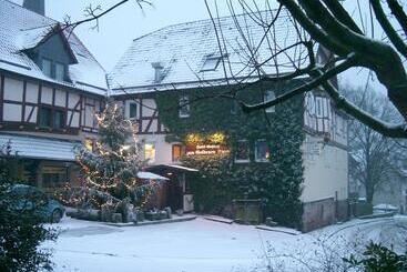 酒店 Fritz'es Goldener Stern