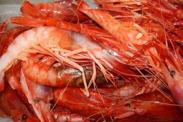 בית מלון כפרי Pensione 4 Stagioni