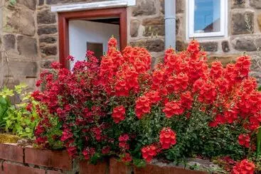 Chimes Cottage