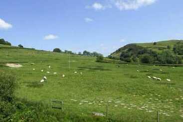 بيت ريفى Cwmgilla Farm