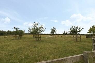 コテージ Drover's