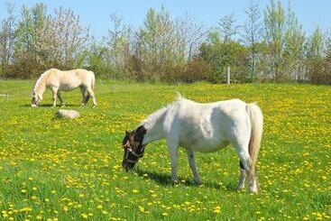 קוטג'' Boeslunde Camping