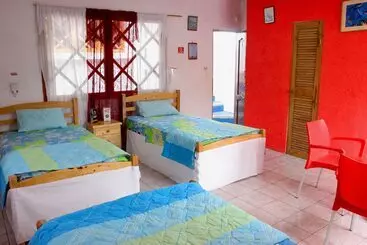 Galapagos Penguin Hostel