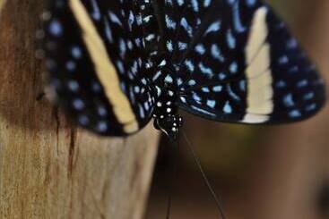 Отель Pedacito De Cielo Ecologe