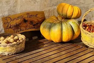 Turistihuoneistot Dimora Nonno Lilicchio