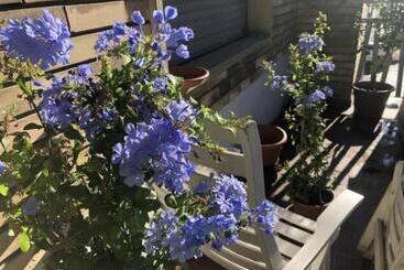 膳宿费 Camera In Via Tolstoi