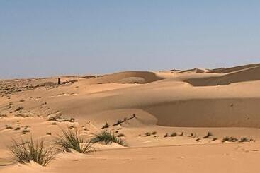 پانسیون Transit