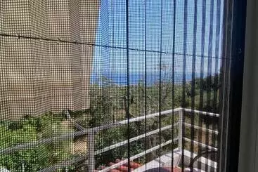 Pensione Vila Zaho