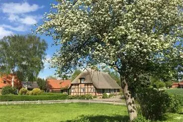 ツーリストアパートメント Reetgedeckte Fachwerkhaushälfte An Der Ostsee