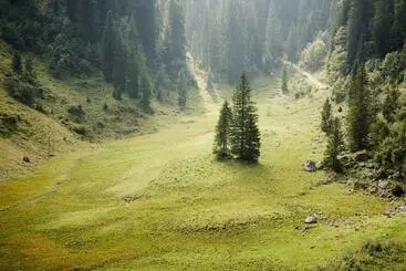 Schronisko Stubn In Der Frasdorfer Hütte