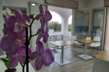 Shekhinah Bed And Breakfast Home Restaurant