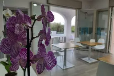 Shekhinah Bed And Breakfast Home Restaurant