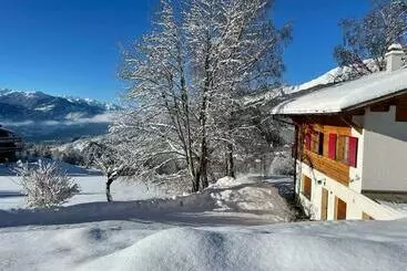ツーリストアパートメント Chalet Pirraz Parc