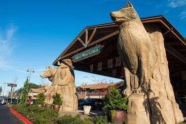Отель Great Wolf Lodge Grand Mound