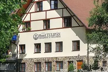 酒店 Tulipan